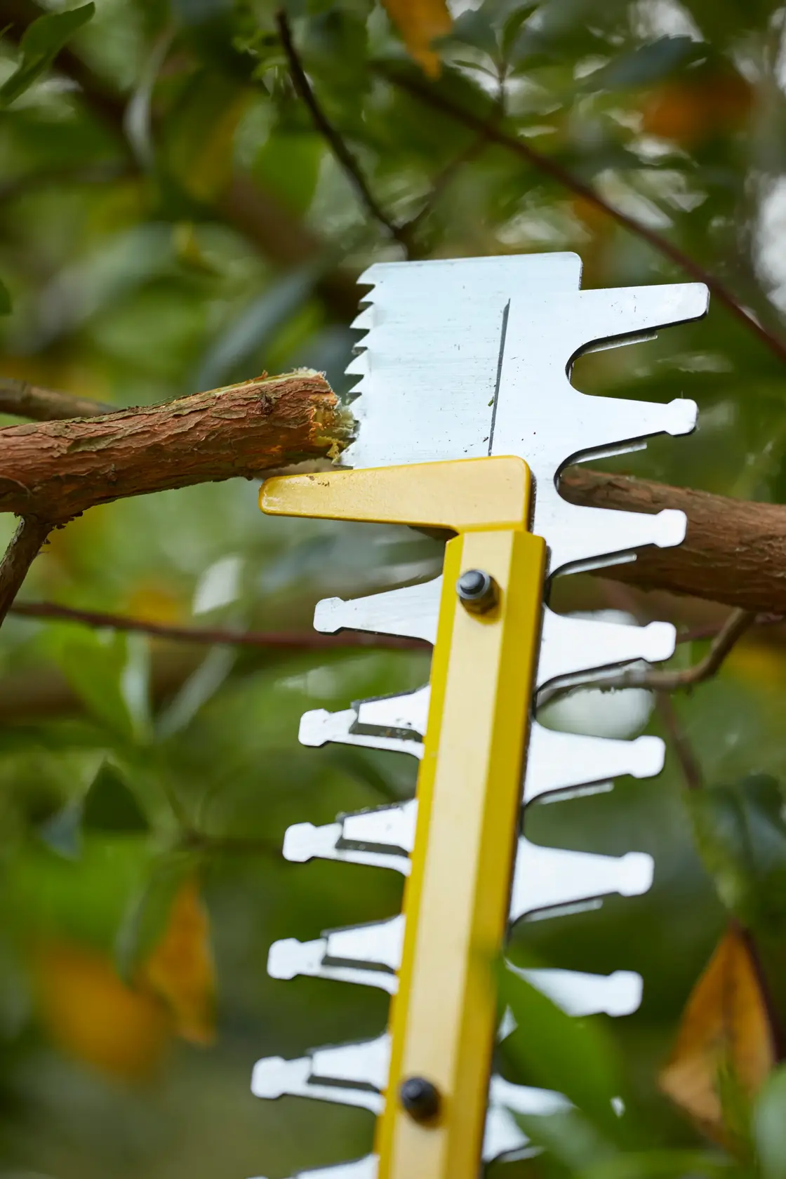 STANLEY SFMCHT855B hedge trimmer cutting a tree branch, close-up with yellow blade in outdoor setting.