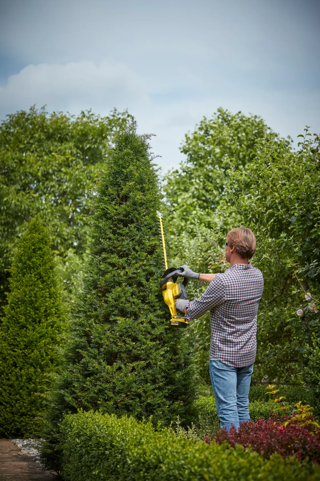 STANLEY SFMCHT855B hedge trimmer being used outdoors by a person trimming a tall green bush.