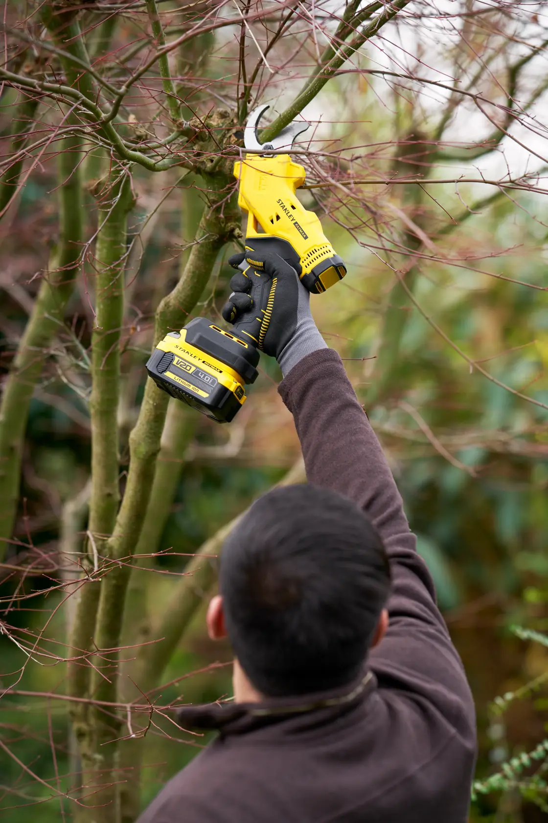 Photo of STANLEY SFMCPP32M1 cordless pruning shears cutting tree branches outdoors.