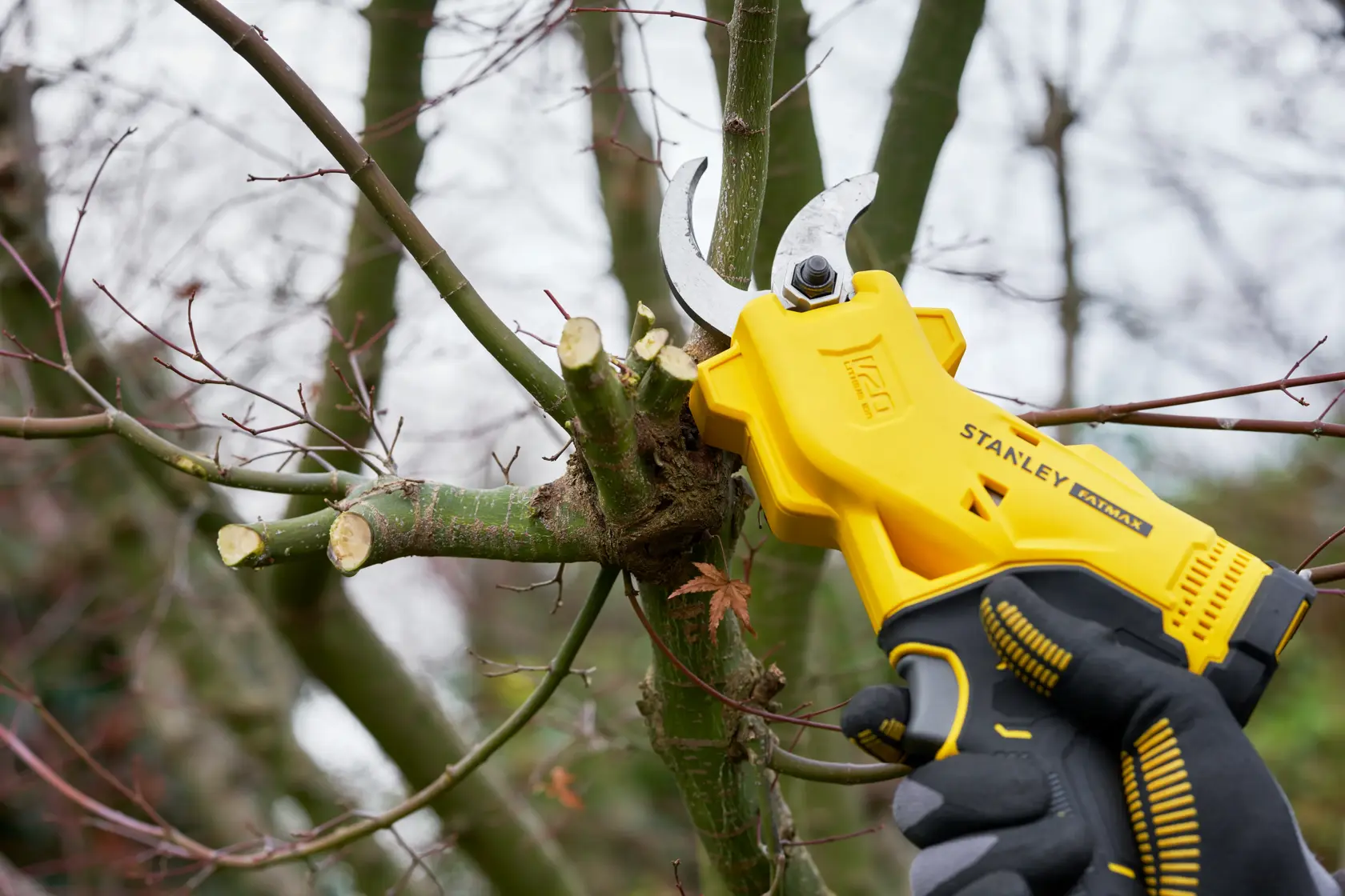Photo of STANLEY SFMCPP32M1 cordless pruner in use, cutting tree branches outdoors.