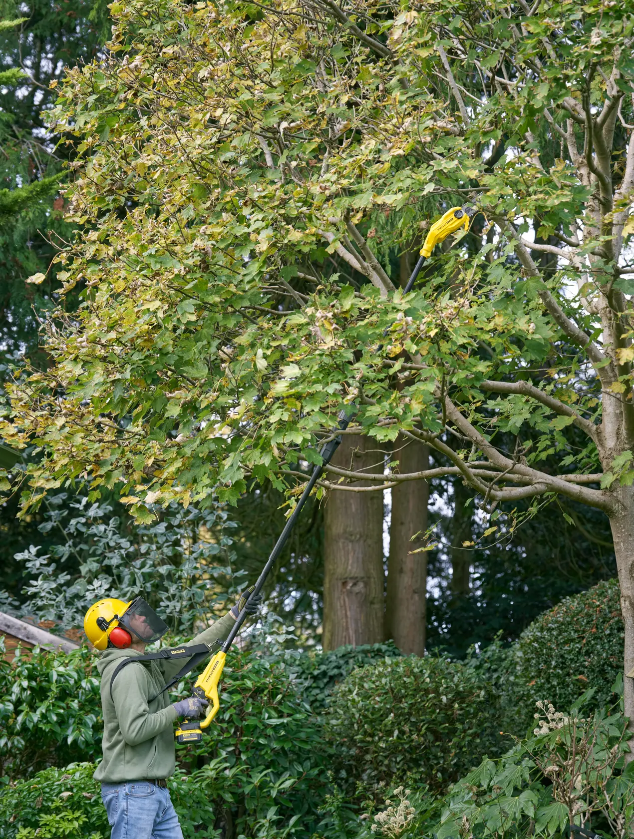 Photo of person trimming tree branches with STANLEY SFMCPS720B-XJ pole saw in a garden setting.